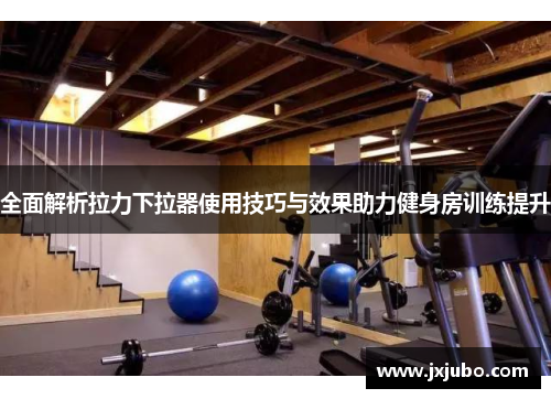 全面解析拉力下拉器使用技巧与效果助力健身房训练提升