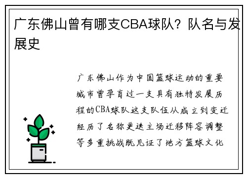 广东佛山曾有哪支CBA球队？队名与发展史
